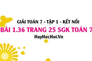 Giải bài 1.36 trang 25 Toán 7 Tập 1 SGK Kết nối tri thức